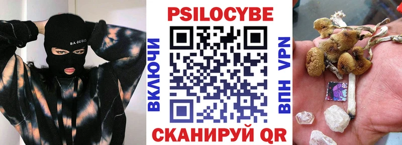 купить закладку  Саяногорск  MEGA сайт  Псилоцибиновые грибы Psilocybe 
